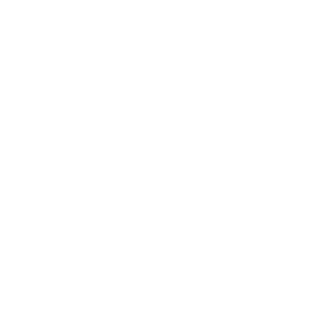 GoVision logo